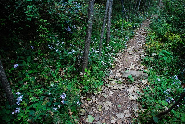 深山幽瀑