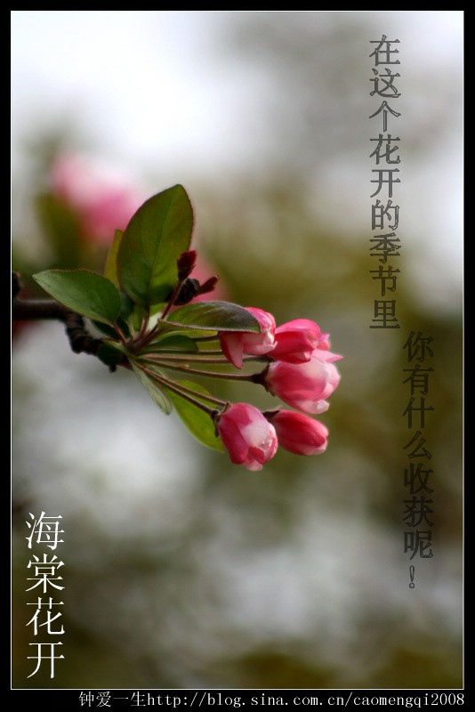 我心飞扬  绽放自我