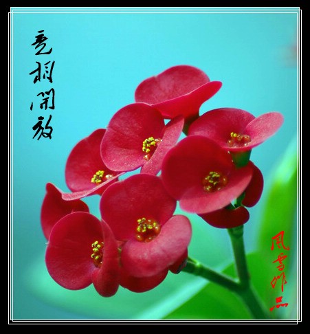火焰