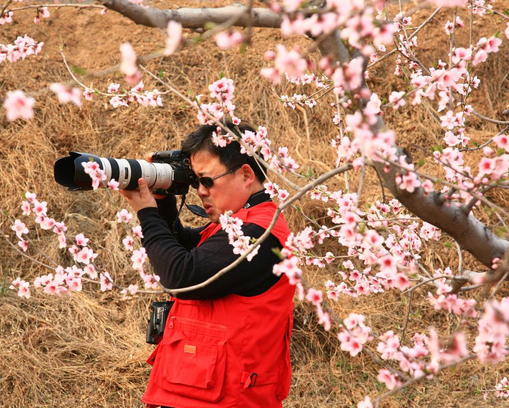 肥.东采风花絮