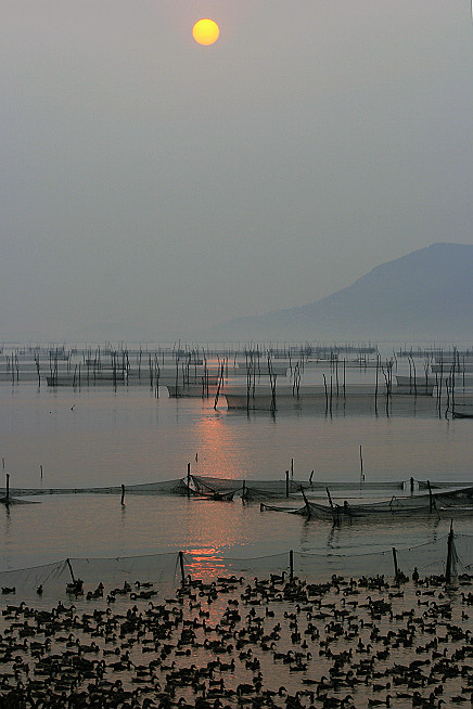 东平湖风光