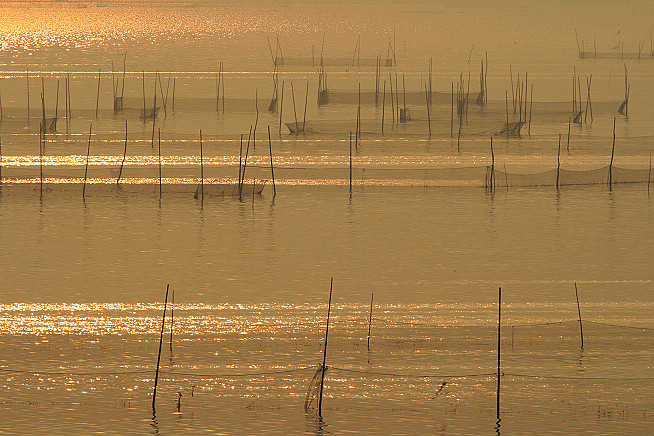 东平湖风光