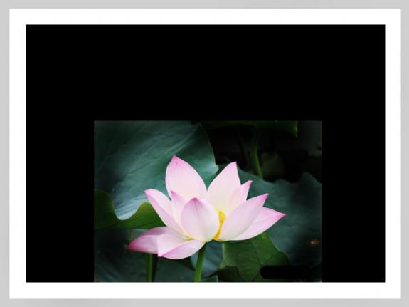 [分享]莲灯点点