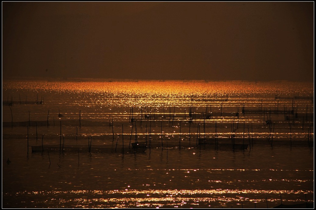 春日.东平湖