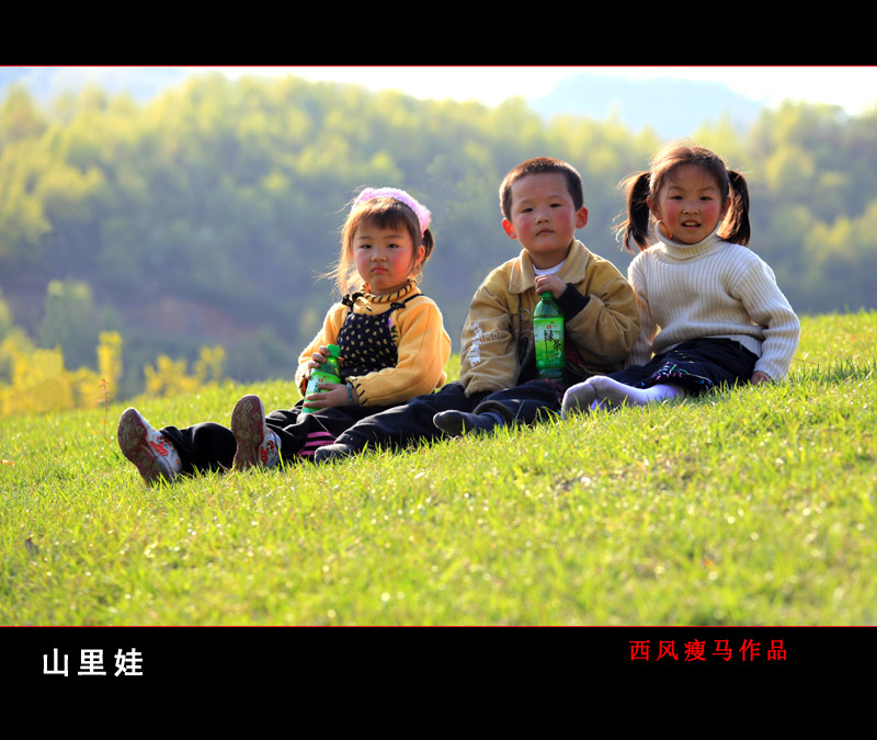 每日一片  天天更新