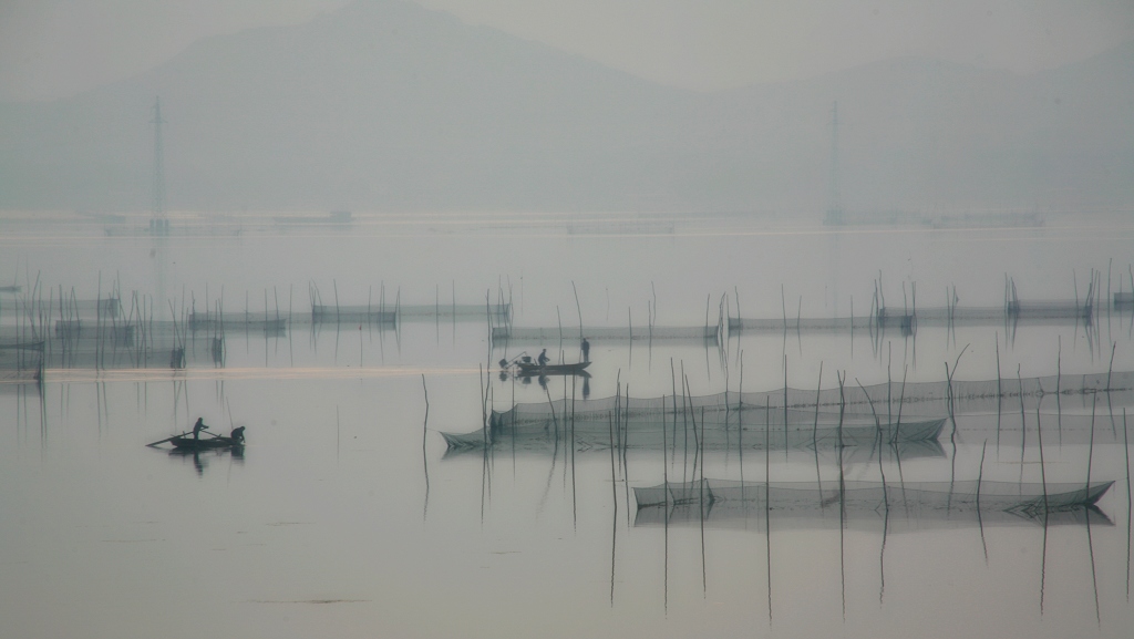 东平湖春日