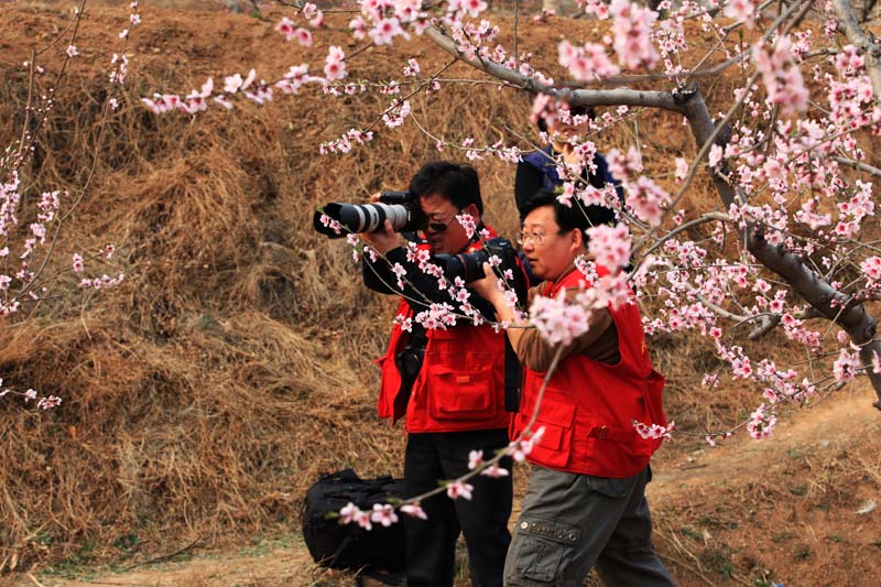 肥.东采风花絮