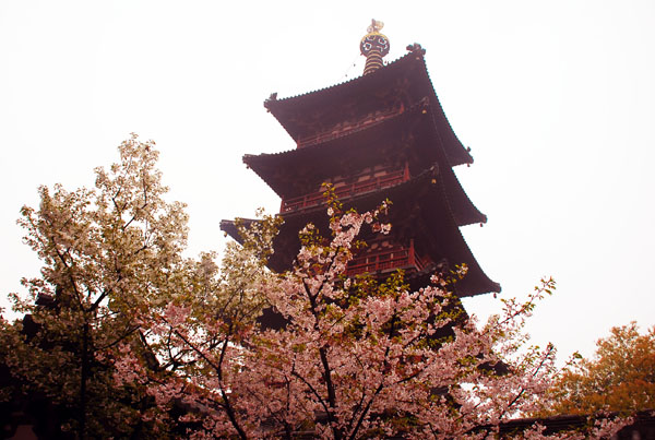 苏州景色