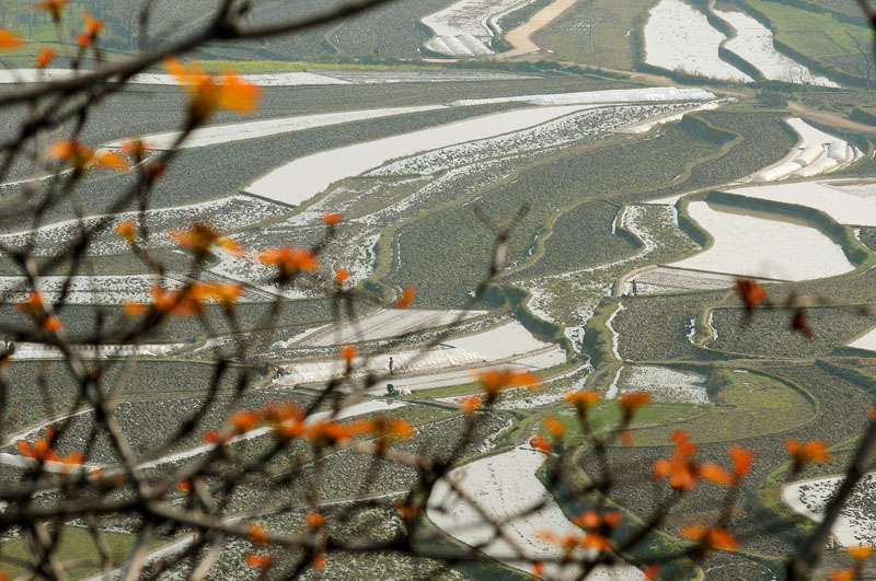 商城梯田