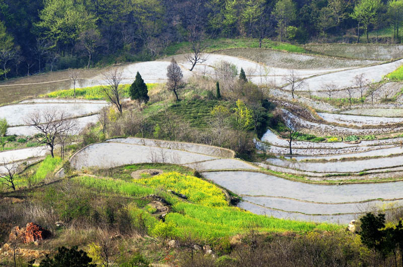 商城梯田