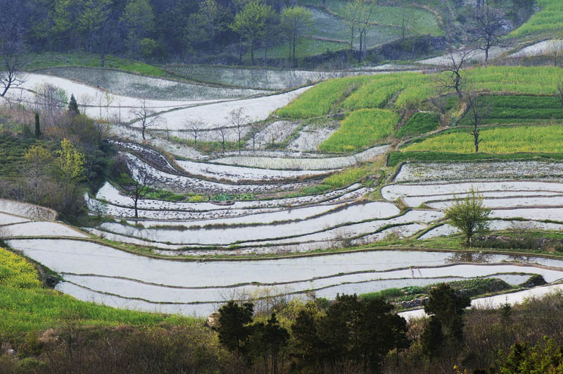 商城梯田