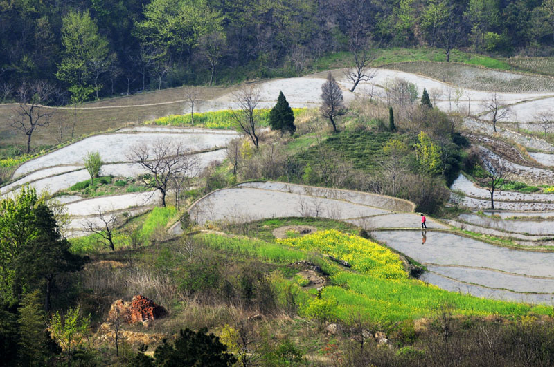 商城梯田