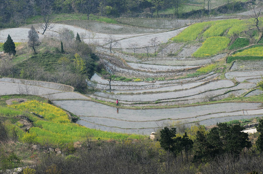 商城梯田