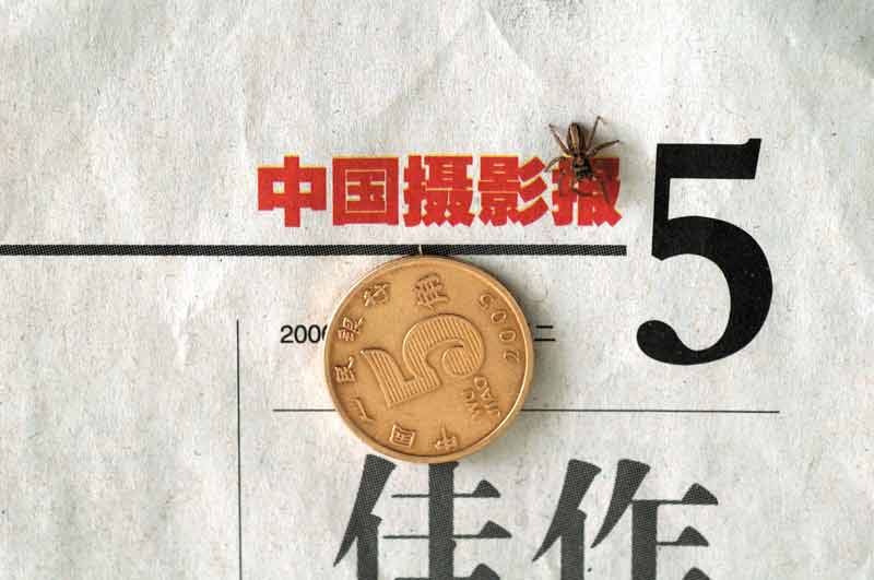 微距眼中的世界