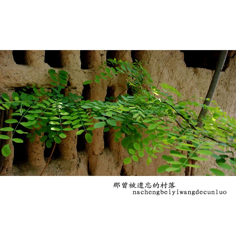 那曾被遗忘的村落