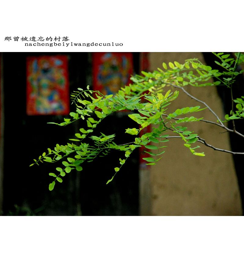 那曾被遗忘的村落