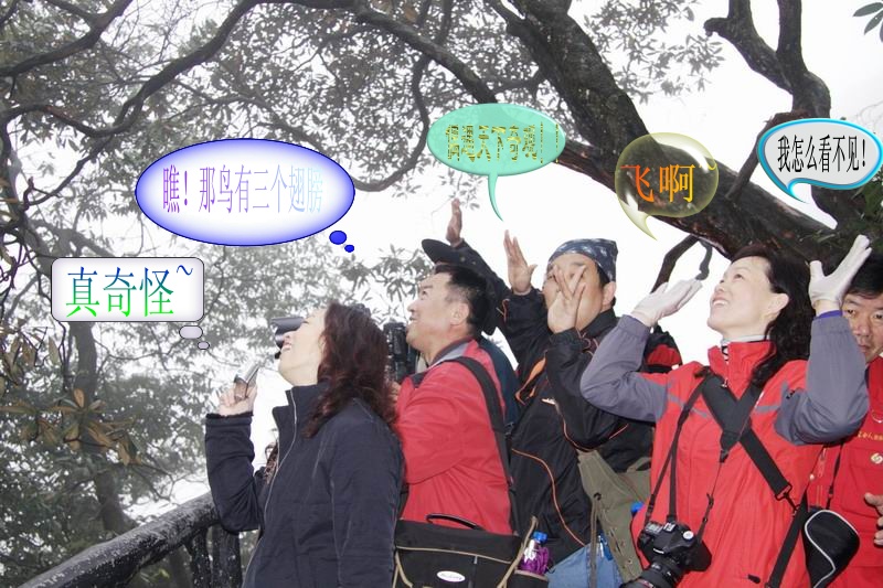 皖南赣北采风花絮