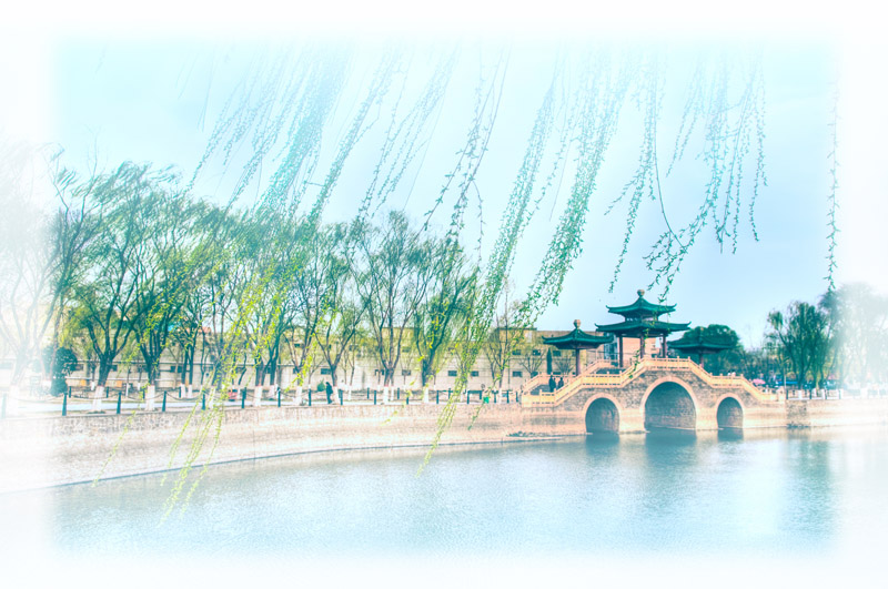 新蕾公园摄影讨论区，有新蕾公园图片的请进