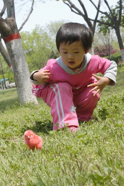 小可爱