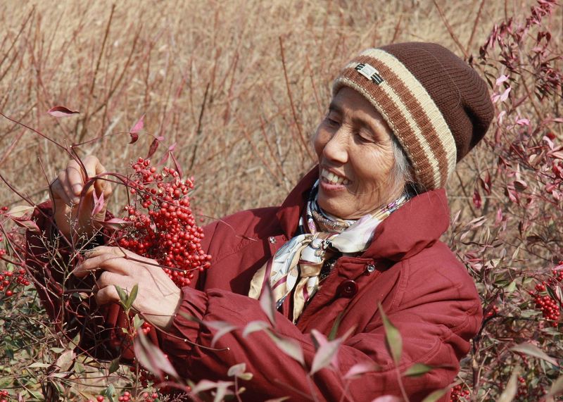银色的岁月