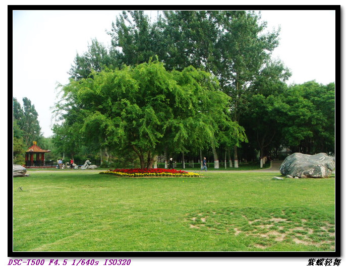 新蕾公园的美景