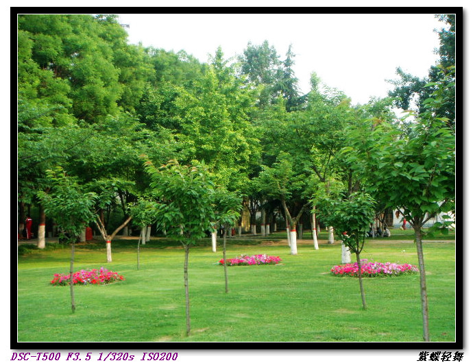 新蕾公园的美景