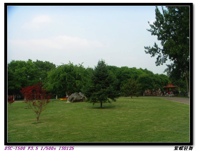 新蕾公园的美景