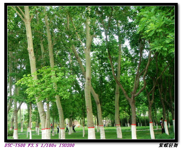 新蕾公园的美景