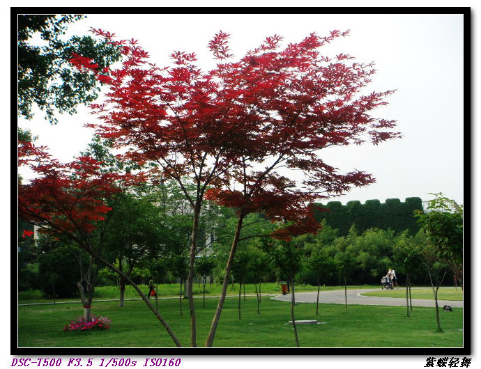 新蕾公园的美景