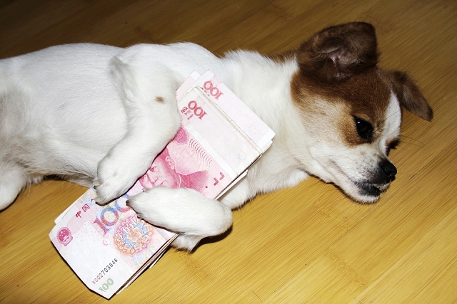 俺有钱了有钱了不知道怎么去花