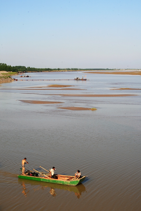黄河湿地