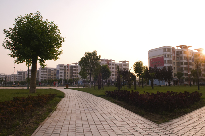 晨光中的新蕾公园