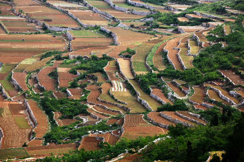 田园风光－淇河篇