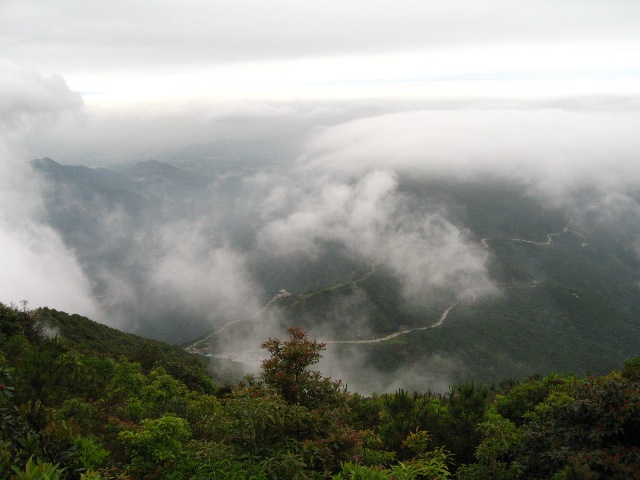 深圳的梧桐山