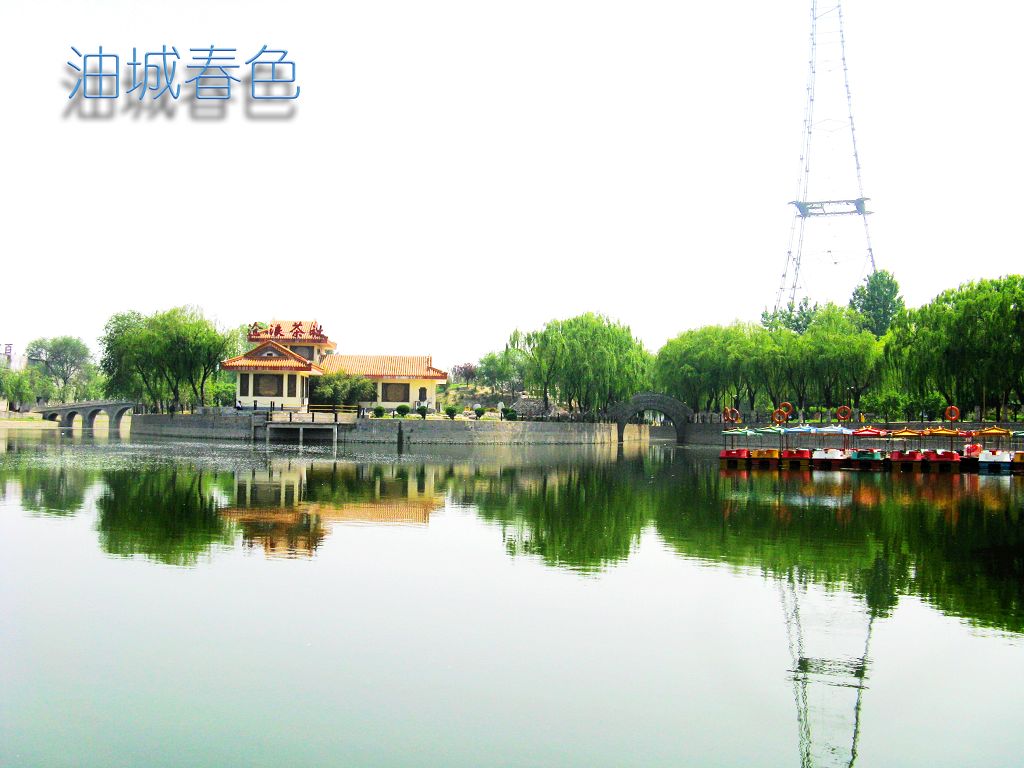 春风又绿龙城