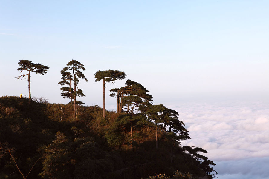 阳光海岸:三清山