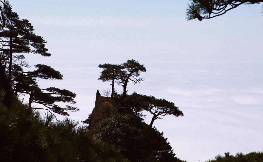 KHG53FOG.jpg