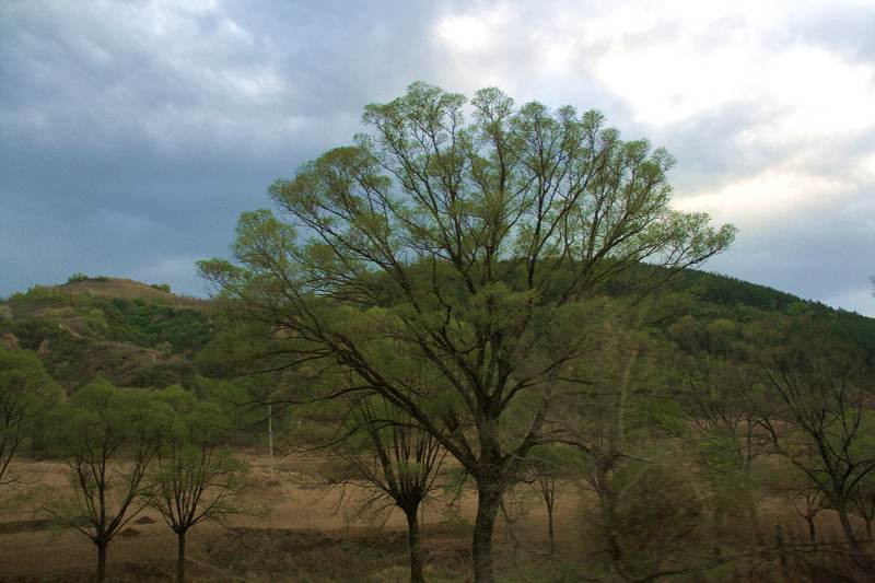 陕北风光