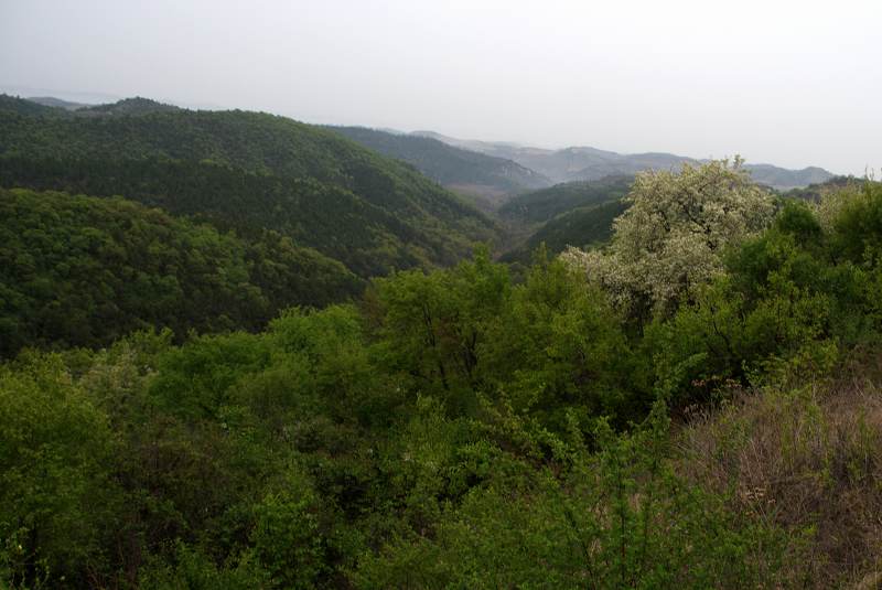 陕北风光