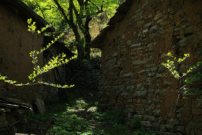 胡乱二张
