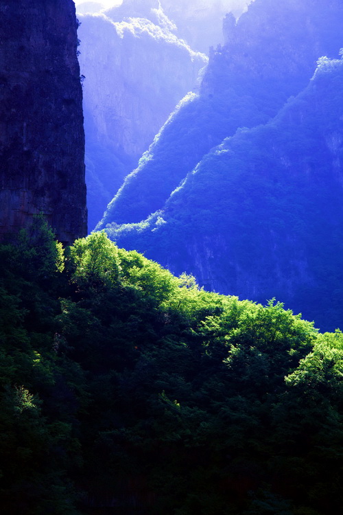翠色王莽岭