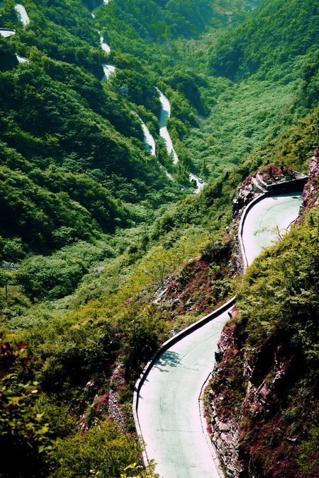 翠色王莽岭