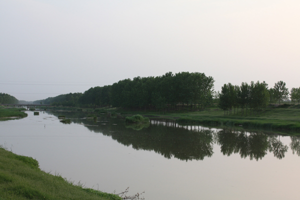 金堤河