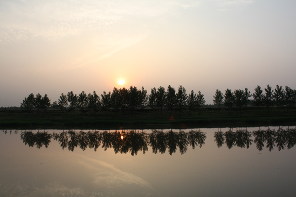 金堤河