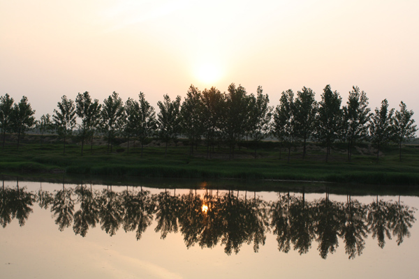 金堤河