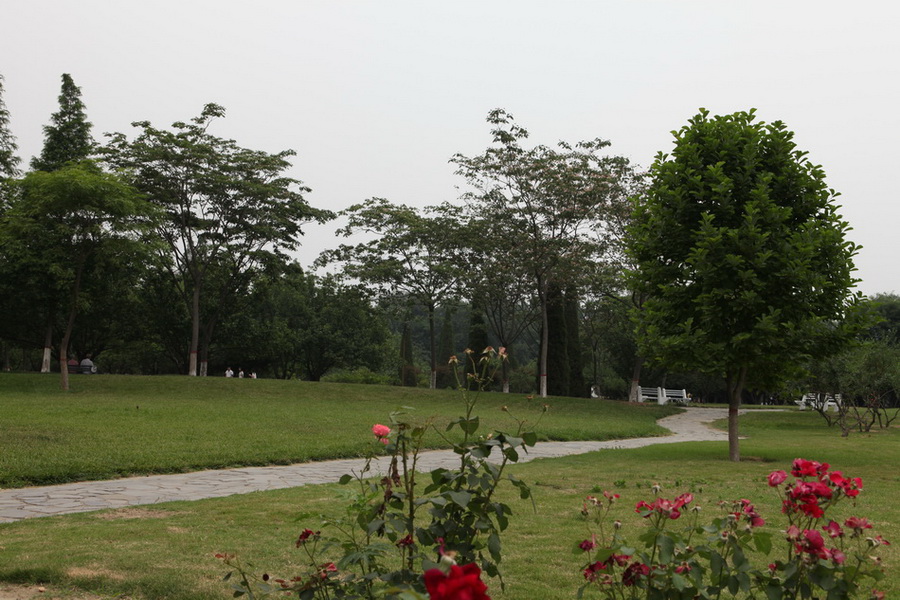 小景几张