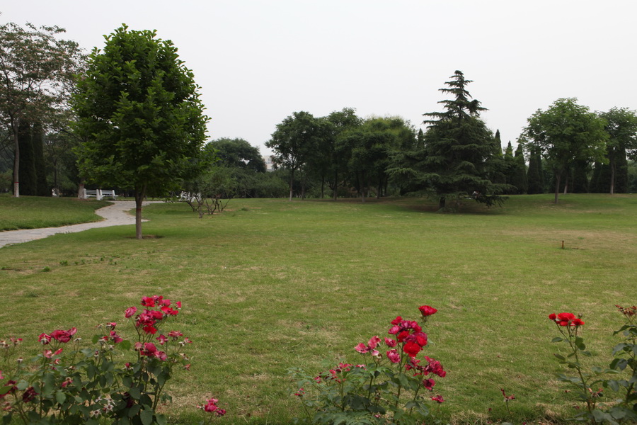 小景几张