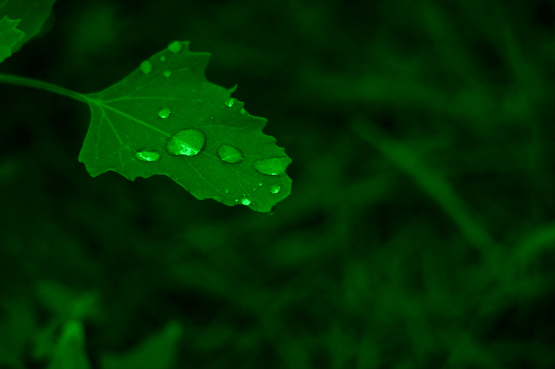 [原创]昨天大雨过后搂了几张～～～～