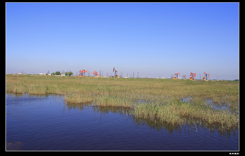 湿地采油树