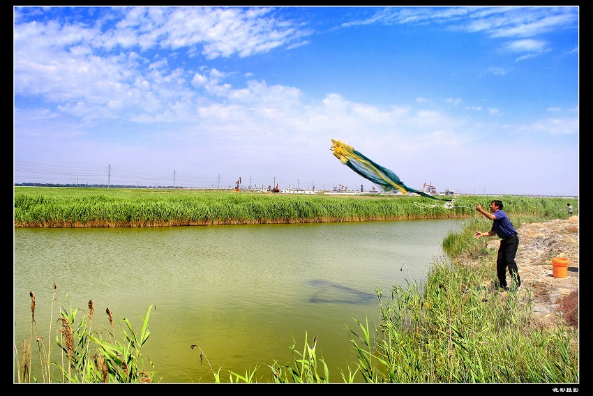 湿地采油树